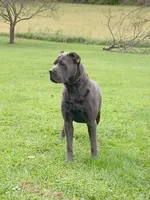 processed/a573f392-6b95-4cff-a2bc-1932c2bb3e61/listing/12e27174-5ad7-44c7-9fcd-36ff31831842/b64bc51a-ed05-4e45-9d75-201799deeeda