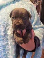 processed/a573f392-6b95-4cff-a2bc-1932c2bb3e61/listing/12e27174-5ad7-44c7-9fcd-36ff31831842/fb8683be-efdf-4063-a2dc-8e7fbeb96658