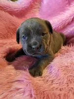 processed/a573f392-6b95-4cff-a2bc-1932c2bb3e61/listing/14655907-71bf-45bc-95ff-3e2d775d1e56/781697ea-74f6-4da7-b7ad-7d759a3dd479