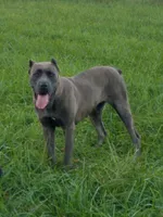 processed/a573f392-6b95-4cff-a2bc-1932c2bb3e61/listing/14655907-71bf-45bc-95ff-3e2d775d1e56/8b437054-a574-408d-92a9-7787d968aa52