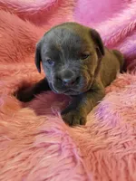 processed/a573f392-6b95-4cff-a2bc-1932c2bb3e61/listing/14655907-71bf-45bc-95ff-3e2d775d1e56/e593a410-b1f9-4a53-b31e-31b9bb6e8c5e