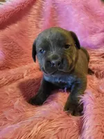 processed/a573f392-6b95-4cff-a2bc-1932c2bb3e61/listing/14655907-71bf-45bc-95ff-3e2d775d1e56/ed64edcf-b3f7-41f1-92e9-f571213a2e84