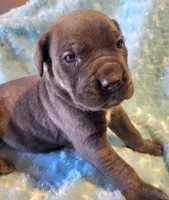 processed/a573f392-6b95-4cff-a2bc-1932c2bb3e61/listing/c7d16c32-6c52-4540-8bfa-33828c501192/4bf7d5b6-4d3b-45a5-994b-ff191f9249e8