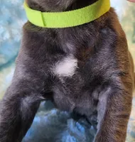 processed/a573f392-6b95-4cff-a2bc-1932c2bb3e61/listing/c7d16c32-6c52-4540-8bfa-33828c501192/5baa9f46-f826-46e4-82b3-954fa02d1248