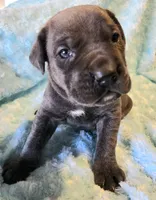 processed/a573f392-6b95-4cff-a2bc-1932c2bb3e61/listing/c7d16c32-6c52-4540-8bfa-33828c501192/b0ea85ac-2905-4939-a177-4a842ae3cf22