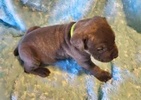 processed/a573f392-6b95-4cff-a2bc-1932c2bb3e61/listing/c7d16c32-6c52-4540-8bfa-33828c501192/f891ac2e-3fac-48bf-a61c-1507efee3148