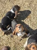 processed/a574ca00-55a0-41f0-8d0c-8b0cfa0a78d7/listing/d17ece6f-f098-41f2-a6ef-1011d62de140/4d0f1c20-0c45-4aa6-8b31-bd85c30909e7