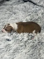 processed/a57ee935-70d6-4347-a04a-67e8d80a004c/listing/37e0ffbe-c9ba-4cb6-b5f5-989614b06c34/13347397-a6dd-42da-80b2-306912c4b9b6