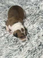 processed/a57ee935-70d6-4347-a04a-67e8d80a004c/listing/37e0ffbe-c9ba-4cb6-b5f5-989614b06c34/5b3be2c4-a8dc-4e47-a1ad-403a8da8d36d