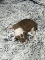 processed/a57ee935-70d6-4347-a04a-67e8d80a004c/listing/37e0ffbe-c9ba-4cb6-b5f5-989614b06c34/959ffee3-041e-46fa-9924-6f647b21881e