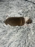 processed/a57ee935-70d6-4347-a04a-67e8d80a004c/listing/37e0ffbe-c9ba-4cb6-b5f5-989614b06c34/b8a8ac1f-d9b6-4551-ab5e-42f774160382