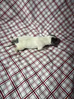 processed/a57ee935-70d6-4347-a04a-67e8d80a004c/listing/43967541-daf6-4fb1-ae9a-f35c5c9b5d7f/3661f948-be5d-4ff8-b324-927718d06be6