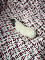 processed/a57ee935-70d6-4347-a04a-67e8d80a004c/listing/43967541-daf6-4fb1-ae9a-f35c5c9b5d7f/3ab8d705-b7f0-4aea-9690-7c19119551d5