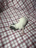 processed/a57ee935-70d6-4347-a04a-67e8d80a004c/listing/43967541-daf6-4fb1-ae9a-f35c5c9b5d7f/3f3a7635-29ce-4dfb-ae30-441d4cd37d5e