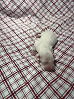 processed/a57ee935-70d6-4347-a04a-67e8d80a004c/listing/5bdb5284-18ad-4b6e-b71a-1db97601cad0/078205aa-8dfb-4aa2-b3b7-73449b8fd4cb