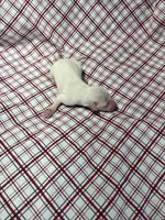 processed/a57ee935-70d6-4347-a04a-67e8d80a004c/listing/5bdb5284-18ad-4b6e-b71a-1db97601cad0/446c93e0-e8de-4ab3-862a-d4e72a791f91