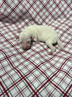 processed/a57ee935-70d6-4347-a04a-67e8d80a004c/listing/5bdb5284-18ad-4b6e-b71a-1db97601cad0/58c381ea-061c-4c04-a552-70aeb8f1915c