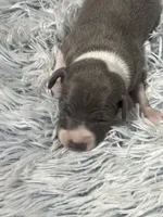 processed/a57ee935-70d6-4347-a04a-67e8d80a004c/listing/773fd2bc-a49e-4ecf-853e-5543ed38fd48/0e3ee7be-e506-478b-9af7-3ae54e92842e