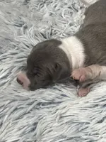 processed/a57ee935-70d6-4347-a04a-67e8d80a004c/listing/773fd2bc-a49e-4ecf-853e-5543ed38fd48/0e82df53-3afa-4e22-97d8-55d3a77e26a3