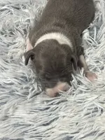 processed/a57ee935-70d6-4347-a04a-67e8d80a004c/listing/773fd2bc-a49e-4ecf-853e-5543ed38fd48/62f850dc-e9c3-47ce-b246-d32a8111db92