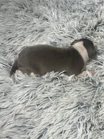 processed/a57ee935-70d6-4347-a04a-67e8d80a004c/listing/773fd2bc-a49e-4ecf-853e-5543ed38fd48/870e4198-3709-4a95-be78-b68239533bf3