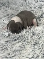 processed/a57ee935-70d6-4347-a04a-67e8d80a004c/listing/773fd2bc-a49e-4ecf-853e-5543ed38fd48/8d6287b8-0653-40d1-836d-7a380b683ede