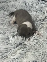 processed/a57ee935-70d6-4347-a04a-67e8d80a004c/listing/773fd2bc-a49e-4ecf-853e-5543ed38fd48/b1c2ab53-64d0-4993-bded-a198f24ddbe9