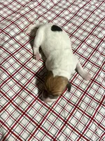 Buddy, a male Italian Greyhound for sale in Norwood, MO – Photo 4 of 10