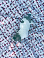 “Benji”, a male Italian Greyhound for sale in Norwood, MO – 5 of 10