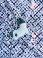 “Benji”, a male Italian Greyhound for sale in Norwood, MO – 7 of 10