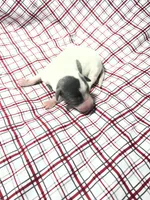 processed/a57ee935-70d6-4347-a04a-67e8d80a004c/listing/c7d9c01e-021e-429c-9bab-dfddccc83d13/8096f5c2-69ba-4195-b8f3-16082e2d6619