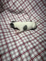 processed/a57ee935-70d6-4347-a04a-67e8d80a004c/listing/c7d9c01e-021e-429c-9bab-dfddccc83d13/ea297ccd-290e-44a2-b386-da1ebf5b52de