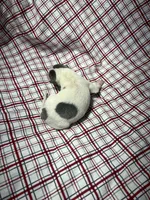 processed/a57ee935-70d6-4347-a04a-67e8d80a004c/listing/c7d9c01e-021e-429c-9bab-dfddccc83d13/ff491da2-10ad-4ee3-b636-9f5d61365967