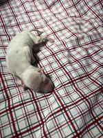 processed/a57ee935-70d6-4347-a04a-67e8d80a004c/listing/cbb80607-d6fc-4717-be7b-546c79b64665/14841987-fce2-40d2-ab23-274edef26681