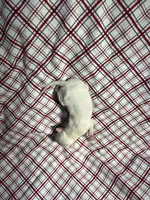 processed/a57ee935-70d6-4347-a04a-67e8d80a004c/listing/cbb80607-d6fc-4717-be7b-546c79b64665/3ff6032d-1be6-45e9-b78c-59dff4d3a03b