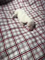 processed/a57ee935-70d6-4347-a04a-67e8d80a004c/listing/cbb80607-d6fc-4717-be7b-546c79b64665/83cb18b9-31a2-4c68-b915-9756ec3eff4f