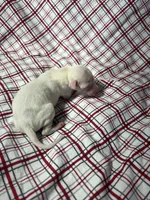 processed/a57ee935-70d6-4347-a04a-67e8d80a004c/listing/cbb80607-d6fc-4717-be7b-546c79b64665/e2ec7459-c322-4470-958a-827d1bf3c3f0