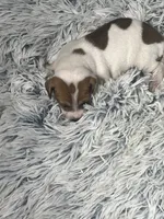 processed/a57ee935-70d6-4347-a04a-67e8d80a004c/listing/d7db7334-3073-4526-8dbb-efed8abd6696/36873f43-d4b3-487f-825a-7e47521a8006