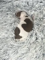 processed/a57ee935-70d6-4347-a04a-67e8d80a004c/listing/d7db7334-3073-4526-8dbb-efed8abd6696/4a413f96-d22e-40a4-bc53-7cc53c69a5af