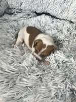 processed/a57ee935-70d6-4347-a04a-67e8d80a004c/listing/d7db7334-3073-4526-8dbb-efed8abd6696/83f5c428-ff89-473a-b686-3b8e85fa1bf7