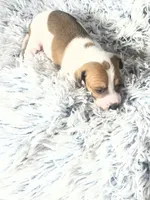 processed/a57ee935-70d6-4347-a04a-67e8d80a004c/listing/d7db7334-3073-4526-8dbb-efed8abd6696/863e74b6-5c6e-43af-9024-f2c05af074b1