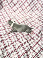 processed/a57ee935-70d6-4347-a04a-67e8d80a004c/listing/f3302686-3c6c-4037-a449-ae68b3475f38/4226e4a6-f2ad-4bbc-8784-3bd11c3b8b4b