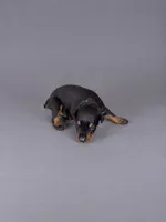 Loras, a male Doberman Pinscher for sale in Brantley, AL – 1 of 1
