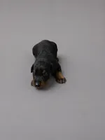Azrael, a male Doberman Pinscher for sale in Brantley, AL – 6 of 7