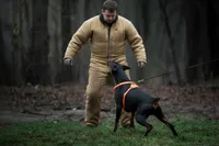 Elune x Aukon Full Euro, a  Doberman Pinscher for sale in Brantley, AL – Photo 5 of 5