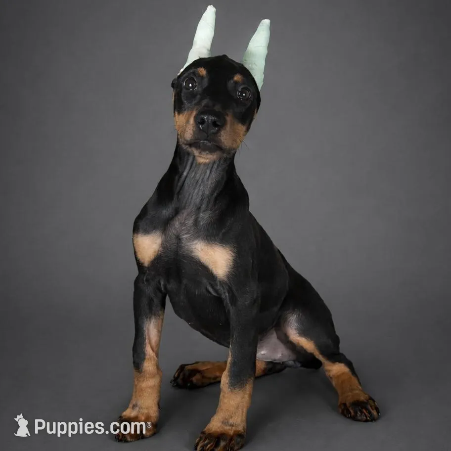 GKK Not By Faith Alone