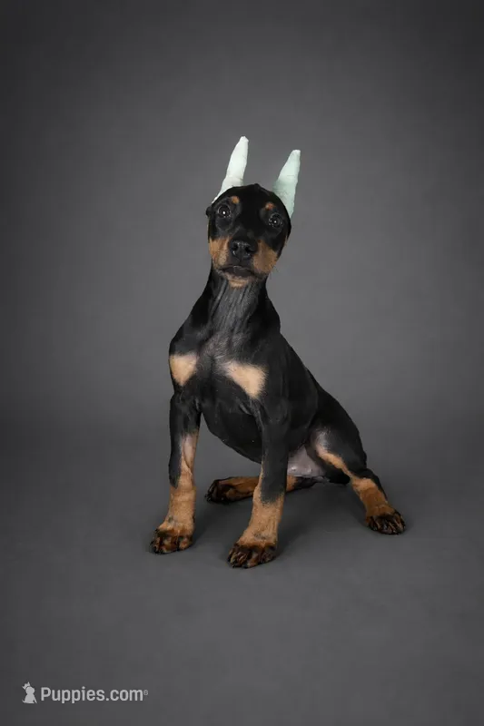 GKK Not By Faith Alone