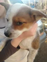 processed/a58ec9f6-ec7d-4c86-b314-b4587c4799ab/listing/a8f66f5b-924d-476e-92b5-eaec1535faaa/bddb517d-acee-46e4-885d-98f0511c859d