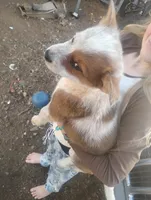 processed/a58ec9f6-ec7d-4c86-b314-b4587c4799ab/listing/a8f66f5b-924d-476e-92b5-eaec1535faaa/f54608ce-48ac-4c3b-ac30-cdd9d3166545