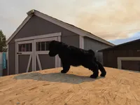 Green, a male Giant Schnauzer for sale in Apple Valley, CA – 1 of 3